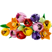 レゴジャパン 11501ﾁﾕ-ﾘﾂﾌﾟﾉﾌﾞ-ｹ LEGO The Botanical Collection 11501