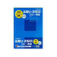 キョクトウ ぶ厚いコピー用紙250g／㎡ A4 25枚 F117716-PPC250A4