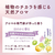 サラヤ アラウ. 泡フェイスソープ 詰替 150mL FCE545M-イメージ8