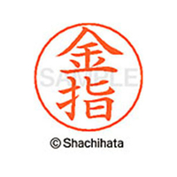 シヤチハタ ネームペン用ネーム シルバー 既製 金指 FC46517-X-GPS-0746