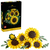 レゴジャパン LEGO The Botanical Collection 11502ひまわりのブーケ 11502ﾋﾏﾜﾘﾉﾌﾞ-ｹ-イメージ1