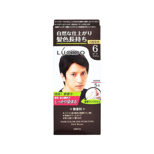 マンダム ルシード ワンプッシュケアカラー ダークブラウン F359321-イメージ1