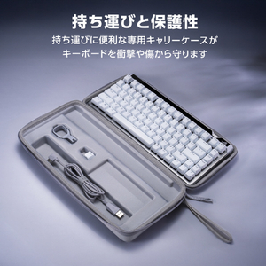 ASUS ROG Falchion Ace 75 HE Gaming Keyboard Black ブラック ROGFALCHION75HEHFX2XBK-イメージ14