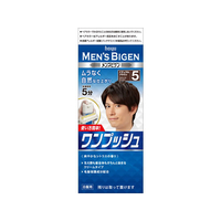 ホーユー メンズビゲン ワンプッシュ 5 ナチュラルブラウン F917328