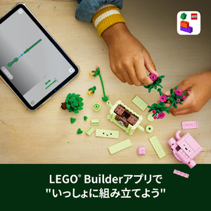 レゴジャパン LEGO ボタニカルコレクション 11506ロッキングプランツ 11506ﾛﾂｷﾝｸﾞﾌﾟﾗﾝﾂ-イメージ10