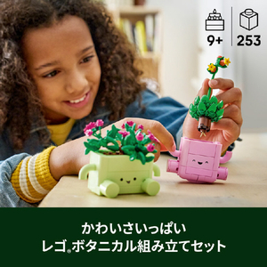レゴジャパン LEGO ボタニカルコレクション 11506ロッキングプランツ 11506ﾛﾂｷﾝｸﾞﾌﾟﾗﾝﾂ-イメージ5