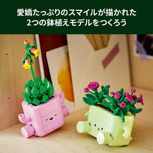 レゴジャパン LEGO ボタニカルコレクション 11506ロッキングプランツ 11506ﾛﾂｷﾝｸﾞﾌﾟﾗﾝﾂ-イメージ6