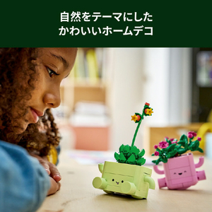 レゴジャパン LEGO ボタニカルコレクション 11506ロッキングプランツ 11506ﾛﾂｷﾝｸﾞﾌﾟﾗﾝﾂ-イメージ9