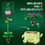 レゴジャパン LEGO ボタニカルコレクション 11506ロッキングプランツ 11506ﾛﾂｷﾝｸﾞﾌﾟﾗﾝﾂ-イメージ7