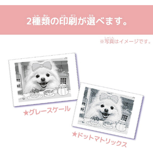 セガフェイブ PRINT CAMERA プリカ マカロンピンク ﾌﾟﾘｶﾏｶﾛﾝﾋﾟﾝｸ-イメージ3