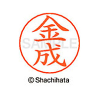 シヤチハタ ネームペン用ネーム シルバー 既製 金成 FC46520-X-GPS-0749