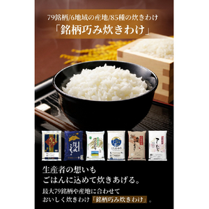 タイガー 土鍋圧力IHジャー炊飯器 ご泡火炊き ゲッパク(月白) JRT-A100WG-イメージ6