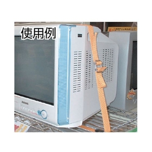 トラスコ中山 PPベルト幅40mm×長さ50m 白 100白4050 FC496HJ-5114012-イメージ2
