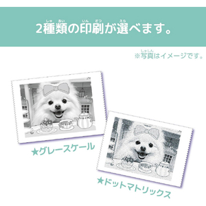 セガフェイブ PRINT CAMERA プリカ ミントグリーン ﾌﾟﾘｶﾐﾝﾄｸﾞﾘ-ﾝ-イメージ3