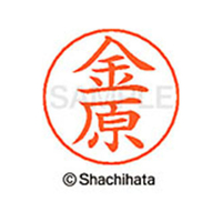 シヤチハタ ネームペン用ネーム シルバー 既製 金原 FC46521-X-GPS-0750