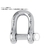 Ｗｉｃｈａｒｄ キャプティブピンDシャックル 5mm 1402 FC156UJ-3598273-イメージ1