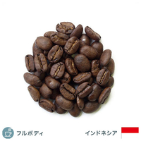 コーヒー豆 ゴールデンマンデリン 200g ｺﾞ-ﾙﾃﾞﾝﾏﾝﾃﾞﾘﾝ100G-X2