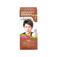 マンダム ルシード ワンプッシュケアカラー ライトブラウン F359327