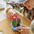 レゴジャパン LEGO 11509 花の咲くサボテン 11509ﾊﾅﾉｻｸｻﾎﾞﾃﾝ-イメージ9
