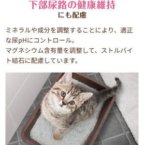 ペットライン メディファスアドバンス 関節・筋肉の健康維持 7歳頃から チキン味 1.15kg FCE756T-MFA-21-イメージ3