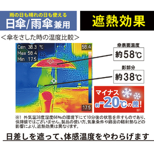 サントス PU COATING折り畳み傘55cm 6本骨 サンド JK173PUCｵﾘｶﾞｻSD-イメージ3