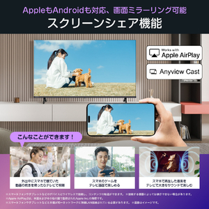 ハイセンス 65V型4Kチューナー内蔵4K対応液晶テレビ C55Rシリーズ 65C55R-イメージ2