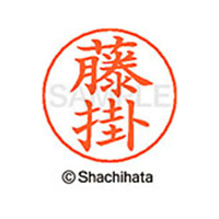 シヤチハタ ネームペン用ネーム シルバー 既製 藤掛 FC47514-X-GPS-1743