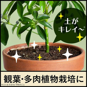 アース製薬 BotaNice 土のカビ予防スプレー 350mL FC097TF-イメージ4