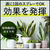 アース製薬 BotaNice 土のカビ予防スプレー 350mL FC097TF-イメージ3