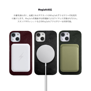 ABBI SIGNATURE iPhone 15 Pro用VINTAGE イタリアンレザー MagSafe対応バックカバー タン ABS26189I15PR-イメージ9