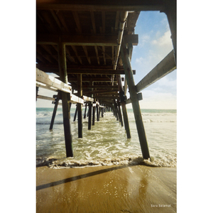 KODAK KODAK 35mmフィルムカメラ EC35 バターイエロー EC35RK0703ﾊﾞﾀ-ｲｴﾛ--イメージ13
