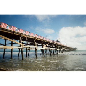 KODAK KODAK 35mmフィルムカメラ EC35 バターイエロー EC35RK0703ﾊﾞﾀ-ｲｴﾛ--イメージ14