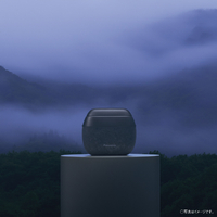 パナソニック ES-PV70-A 5枚刃シェーバー ラムダッシュ パームイン 藍