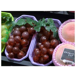 パックスタイル BPフルーツ 2M ムラサキ 100枚 FC015SH-00470089-イメージ3