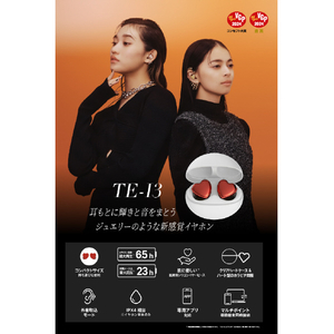 AVIOT トゥルーワイヤレスイヤホン Silver TE-I3-SL-イメージ10