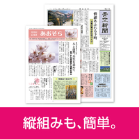 SOURCENEXT パーソナルヘンシュウチョウ VER.14 SOURCENEXT パーソナルヘンシュウチョウ VER.14 Amazon.co.jp