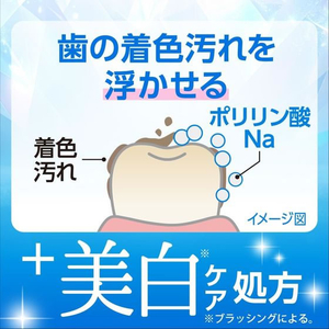 小林製薬 ゼローラ+ 美白ケア 90g FCE188Y-イメージ5