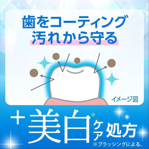 小林製薬 ゼローラ+ 美白ケア 90g FCE188Y-イメージ6