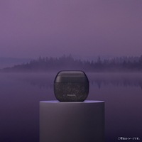 パナソニック ES-PV70-V 5枚刃シェーバー ラムダッシュ パームイン 紫