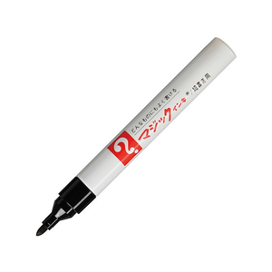 寺西化学工業 マジックインキNO.500 12色セット F012393-M500C-12-イメージ2