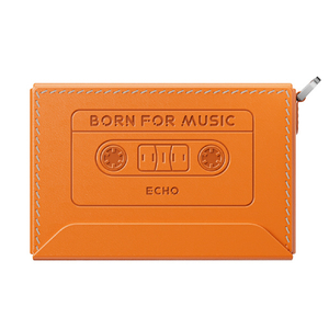 FIIO ECHO専用ケース NEST-ECHO Orange FIO-NEST-SSECHO-O-イメージ2