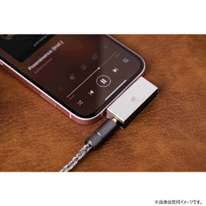 Kiwi Ears ポータブルアンプ Allegro Mini KWI023-イメージ12