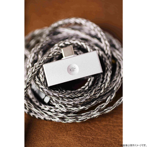 Kiwi Ears ポータブルアンプ Allegro Mini KWI023-イメージ13