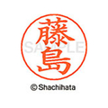 シヤチハタ ネームペン用ネーム シルバー 既製 藤島 FC47520-X-GPS-1749