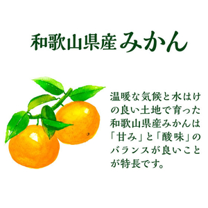 伊藤園 ニッポンエール 和歌山県産みかんゼリー 280g FCK250C-イメージ4