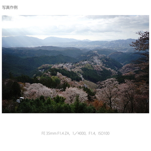 SONY 広角単焦点レンズ Distagon T* FE 35mm F1.4 ZA SEL35F14Z-イメージ3