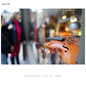 SONY 広角単焦点レンズ Distagon T* FE 35mm F1.4 ZA SEL35F14Z-イメージ6