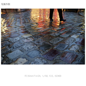 SONY 広角単焦点レンズ Distagon T* FE 35mm F1.4 ZA SEL35F14Z-イメージ7