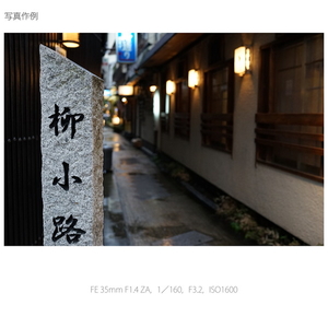 SONY 広角単焦点レンズ Distagon T* FE 35mm F1.4 ZA SEL35F14Z-イメージ9