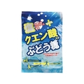 大丸本舗 塩クエン酸入り ぶどう糖 2g×20粒入 FCM5182